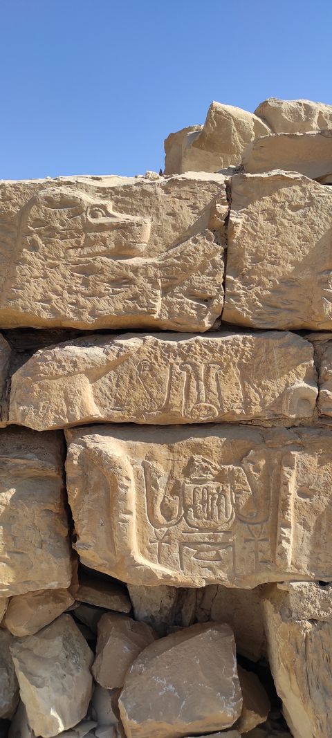 Abydos Kom el Sultan baviaan Toth