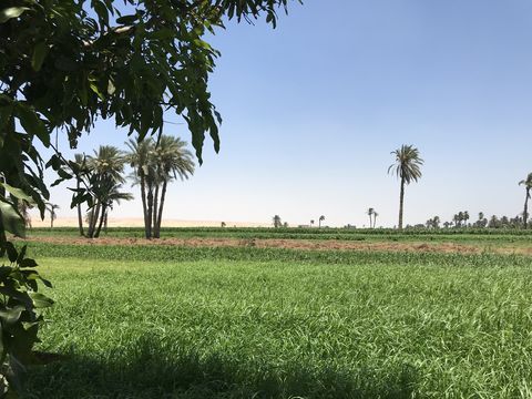 Picknick lunch in Lahun